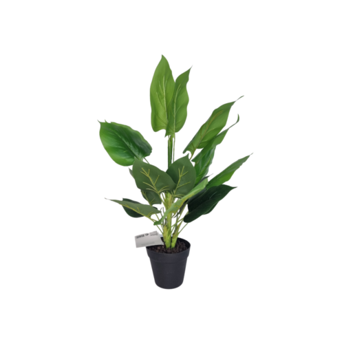 Mellem kunstig plante med Spidse blade