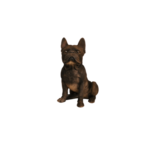 Siddende sort-brun fransk bulldog
